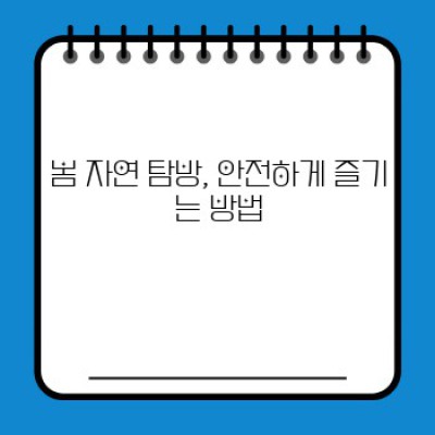 봄, 설렘 가득한 자연과의 만남: 놓칠 수 없는 국내 봄 여행지 & 탐방 가이드