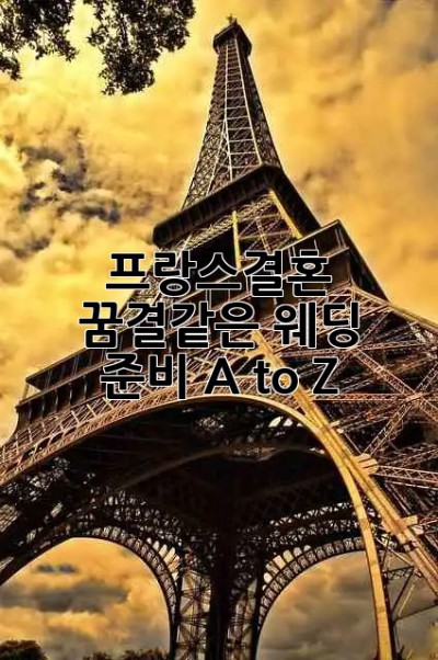 프랑스결혼 🇫🇷 꿈결같은 웨딩 준비 A to Z ✨