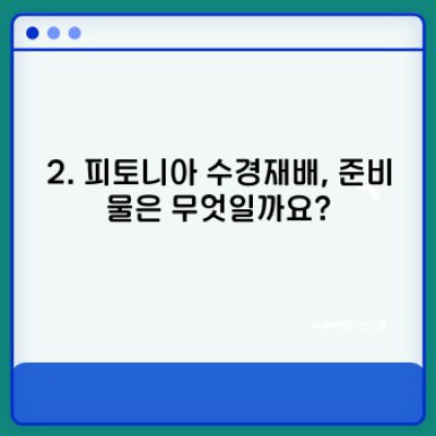 피토니아 수경재배 완전 정복: 초보도 성공하는 잎꽂이부터 관리법까지!