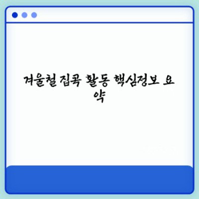겨울방학 집콕 생존기: 핵꿀팁 10가지 비교분석 & 장단점 완벽 정리!