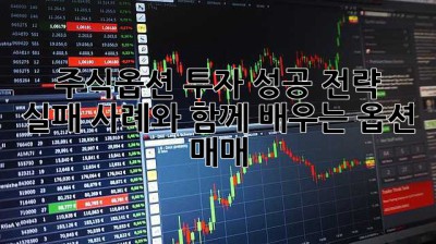주식옵션 투자 성공 전략:  실패 사례와 함께 배우는 옵션 매매