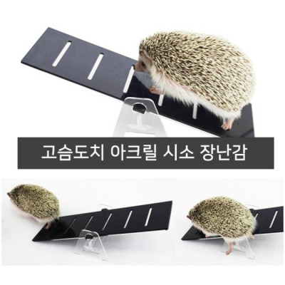 🦔 역대급 꿀템! 고슴도치 아크릴 하우스 솔직 후기 & 할인 꿀팁 🍯