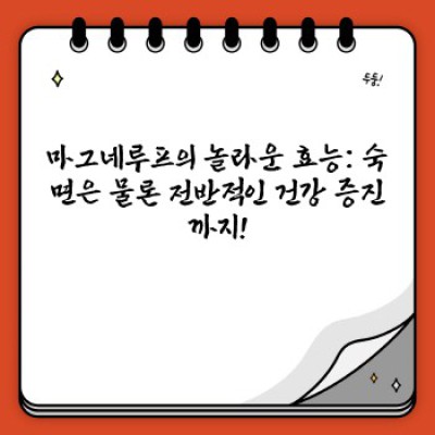 마그네루프: 숙면과 건강한 삶을 위한 마그네슘 보충제 완벽 가이드