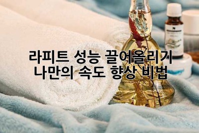 라피트 성능 끌어올리기: 나만의 속도 향상 비법! 🚀
