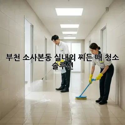 ✨부천 소사본동✨ 실내외 찌든 때 청소 솔루션! 🏡