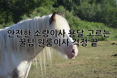 안전한 소량이사, 용달 고르는 꿀팁🍯 원룸이사 걱정 끝!