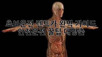 초보운전 렌트카 완벽 가이드 🚗💨 안전운전 꿀팁 대방출!